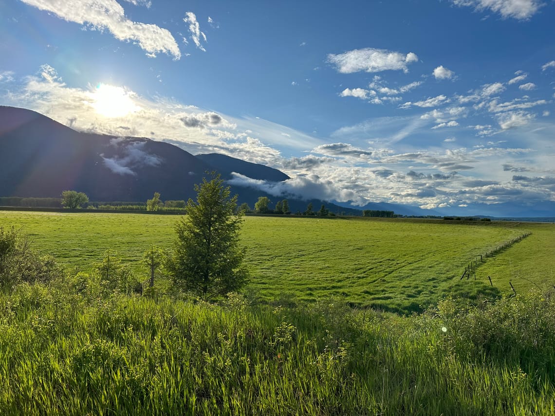 Welcome to Think Strand!